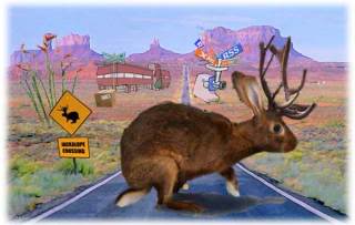 jackalope title Ubuntu 9.04 (Jaunty Jackalope) Alpha 6